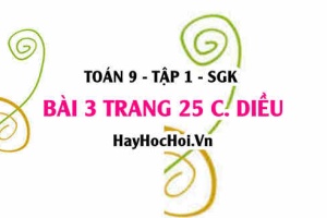 Bài 3 trang 25 Toán 9 tập 1 Cánh Diều